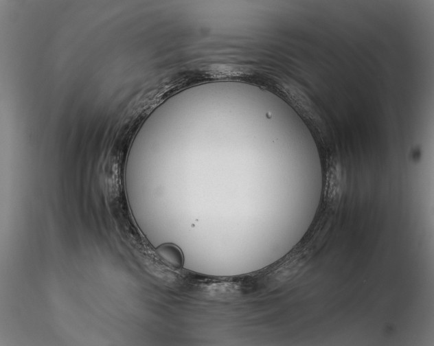 X0000116370426200912161442