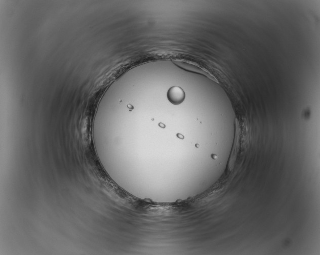 X0000116370428200912161442