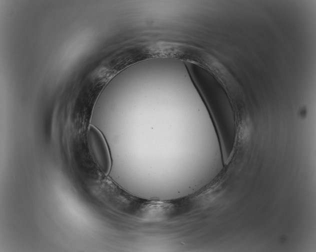 X0000116370429200912161442