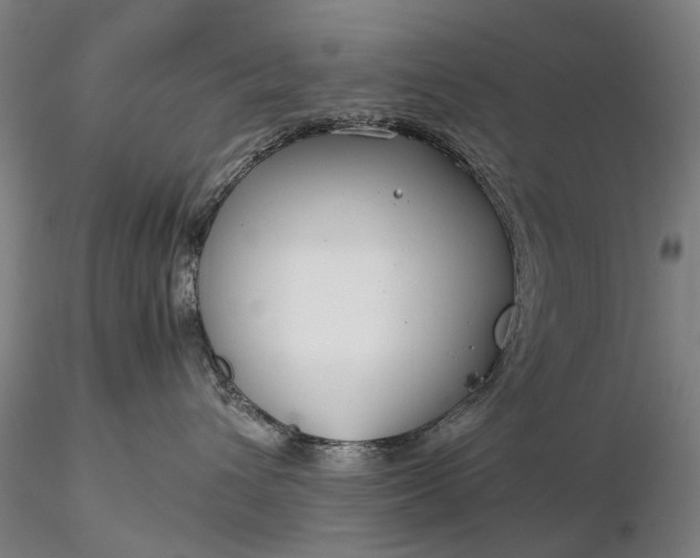 X0000116370432200912161442