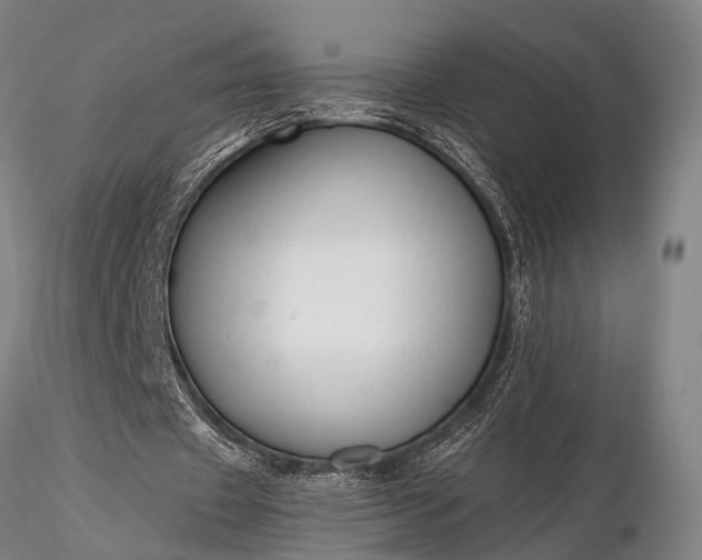 X0000116370433200912161442