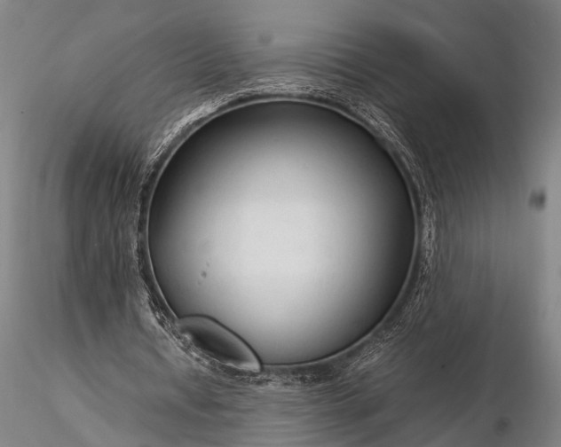 X0000116370434200912161442