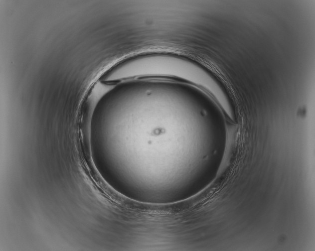 X0000116370436200912161442