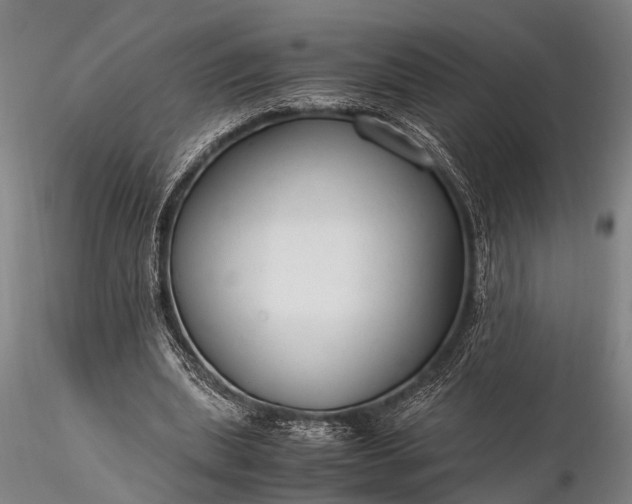 X0000116370439200912161442