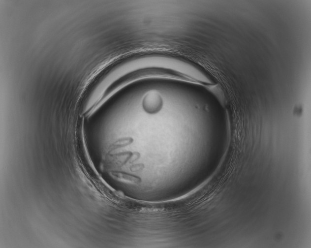 X0000116370440200912161442