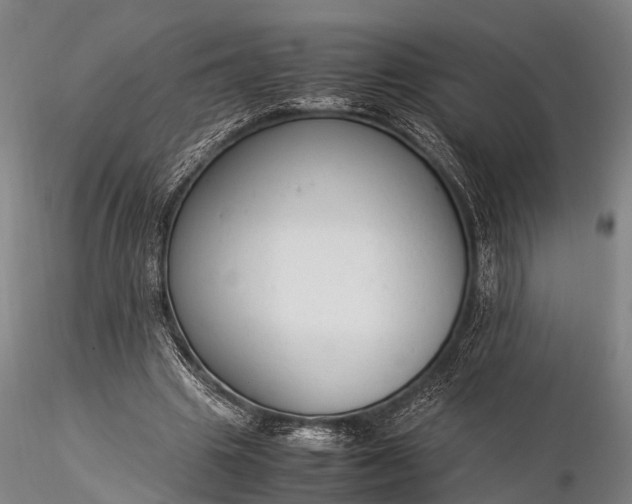 X0000116370441200912161442