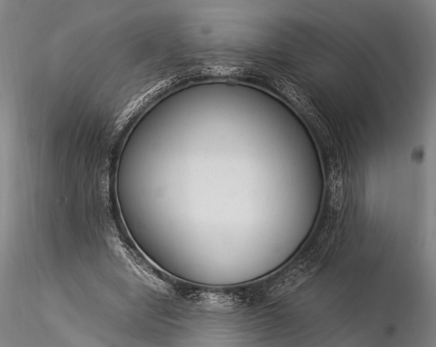 X0000116370442200912161442