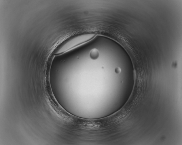 X0000116370443200912161442