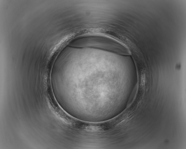 X0000116370444200912161442