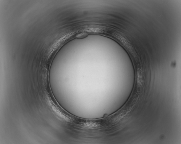 X0000116370445200912161442