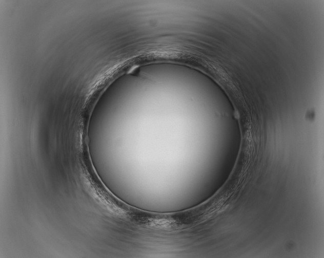 X0000116370446200912161442