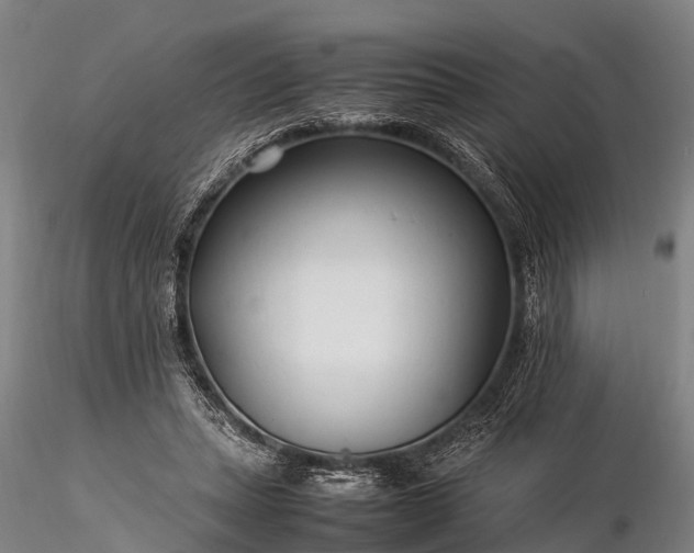 X0000116370447200912161442