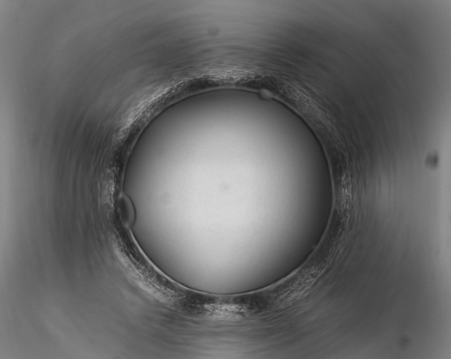 X0000116370448200912161442