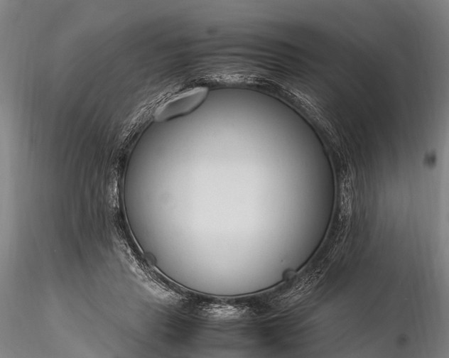 X0000116370453200912161442