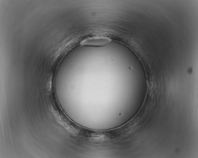 X0000116370454200912161442