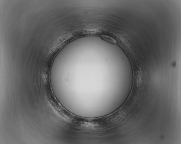 X0000116370455200912161442