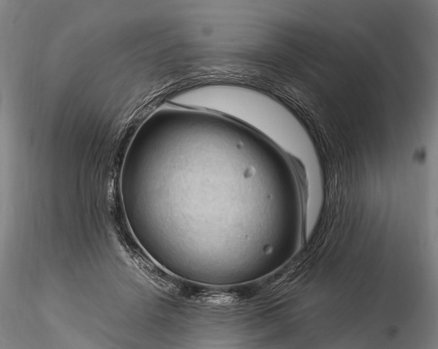 X0000116370456200912161442