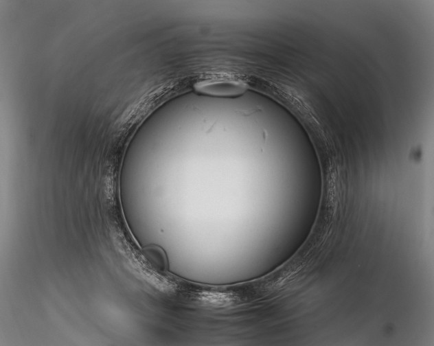 X0000116370457200912161442