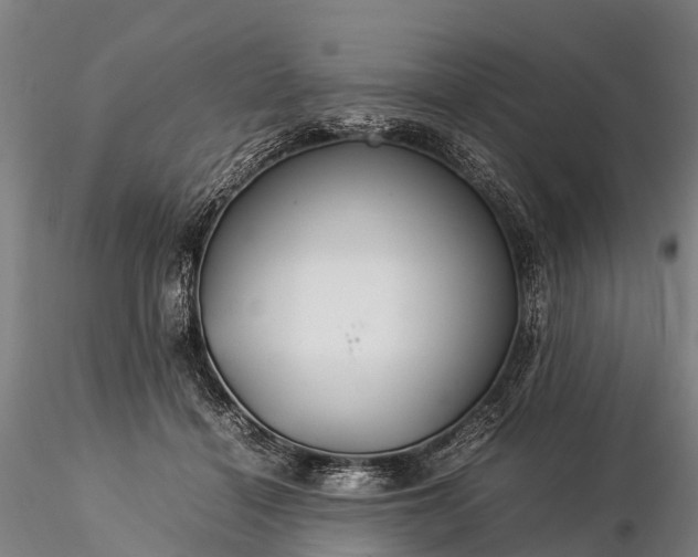 X0000116370460200912161442