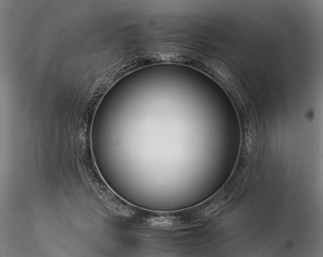 X0000116370461200912161442