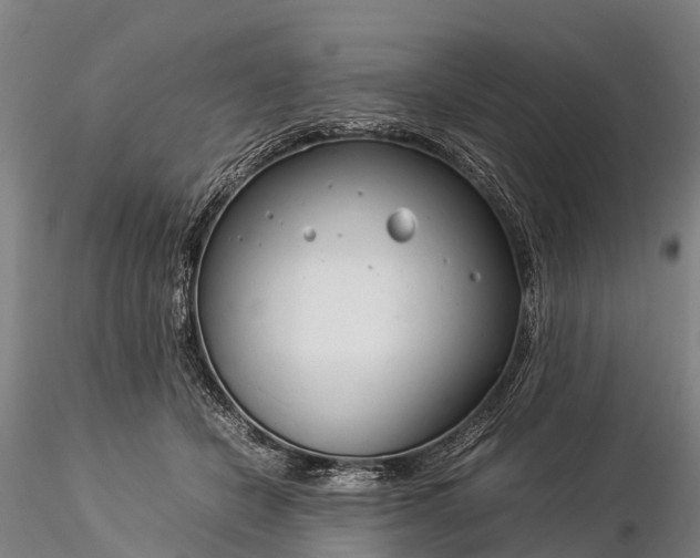 X0000116370462200912161442