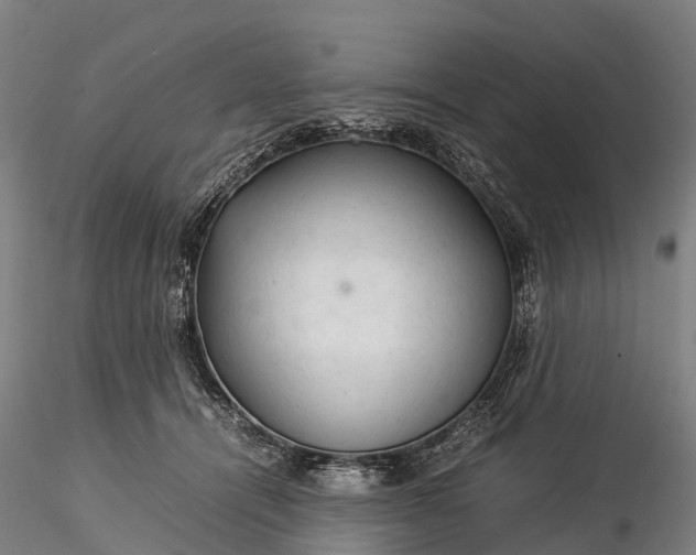 X0000116370464200912161442