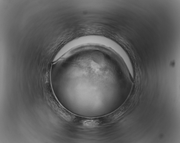 X0000116370465200912161442