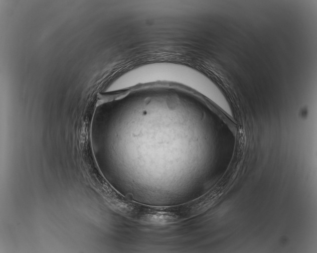 X0000116370467200912161442