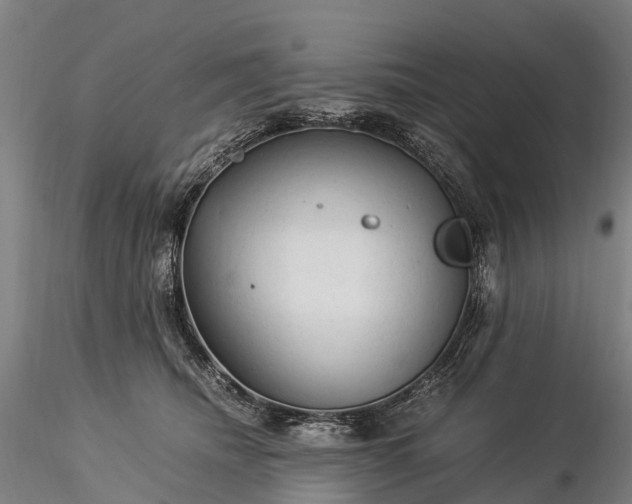 X0000116370468200912161442