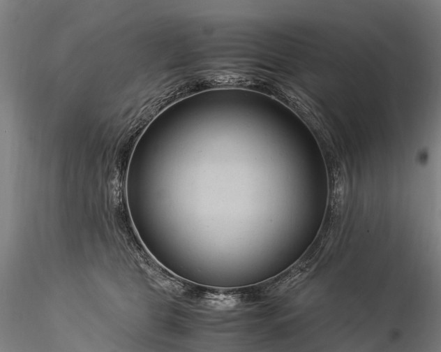 X0000116370469200912161442