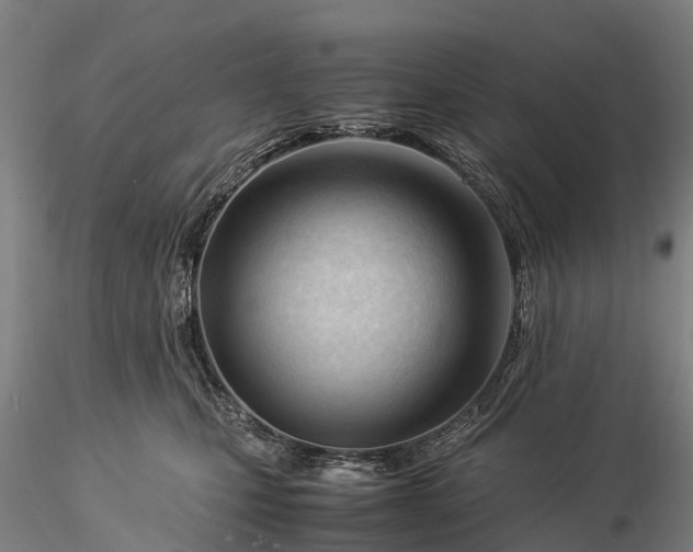 X0000116370471200912161442