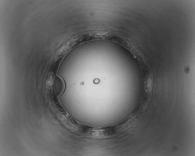 X0000116370472200912161442