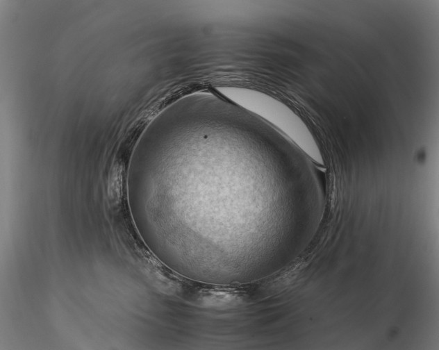 X0000116370475200912161442