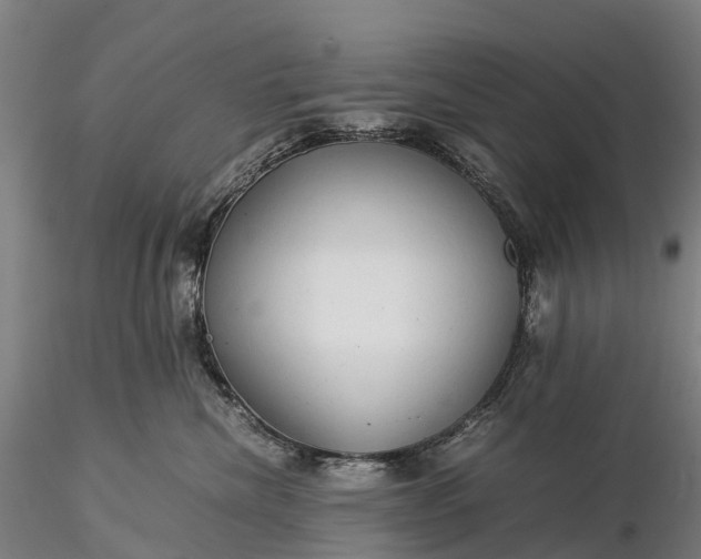 X0000116370476200912161442