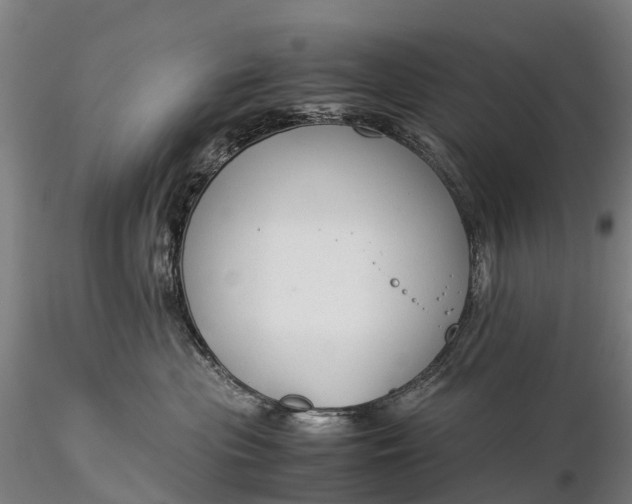 X0000116370477200912161442