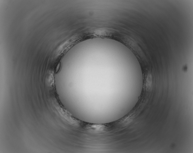 X0000116370478200912161442