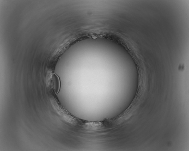 X0000116370480200912161442