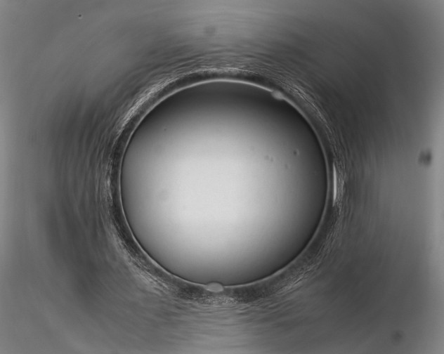 X0000116370483200912161442