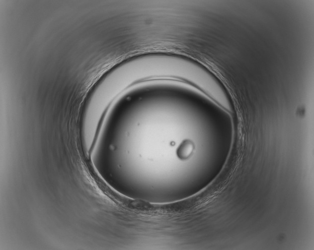 X0000116370485200912161441