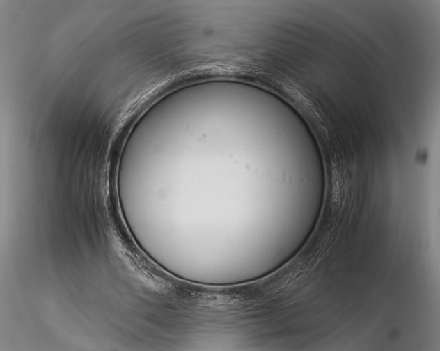 X0000116370486200912161441