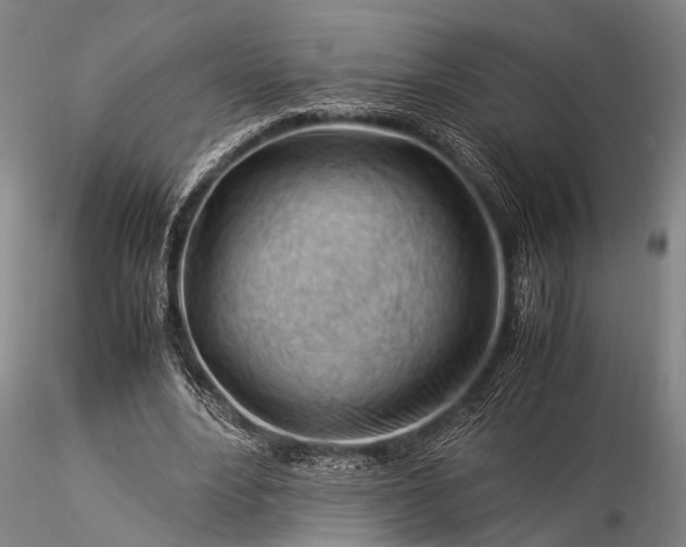 X0000116370488200912161441