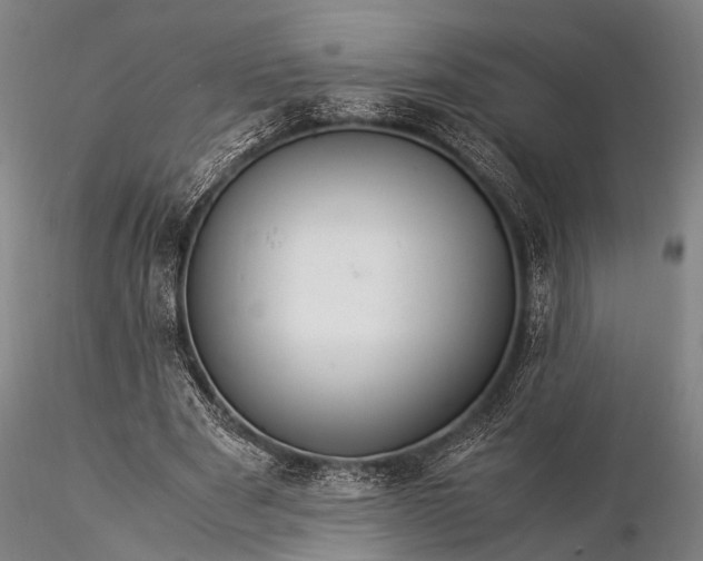 X0000116370489200912161441