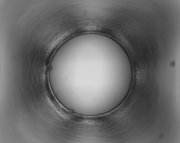 X0000116370490200912161441