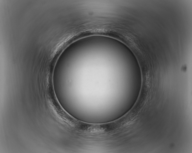 X0000116370491200912161441