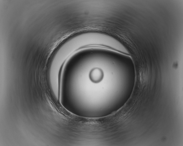 X0000116370492200912161441