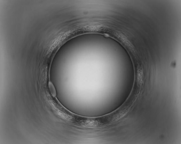 X0000116370493200912161441