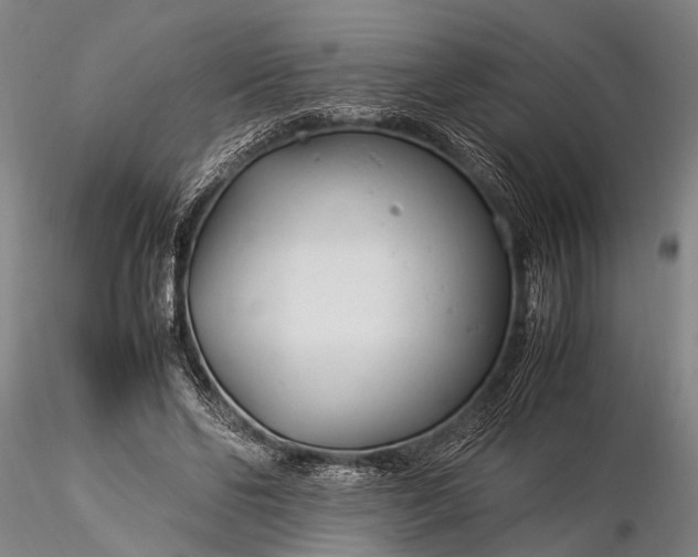 X0000116370494200912161441