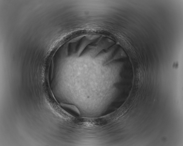 X0000116370496200912161441