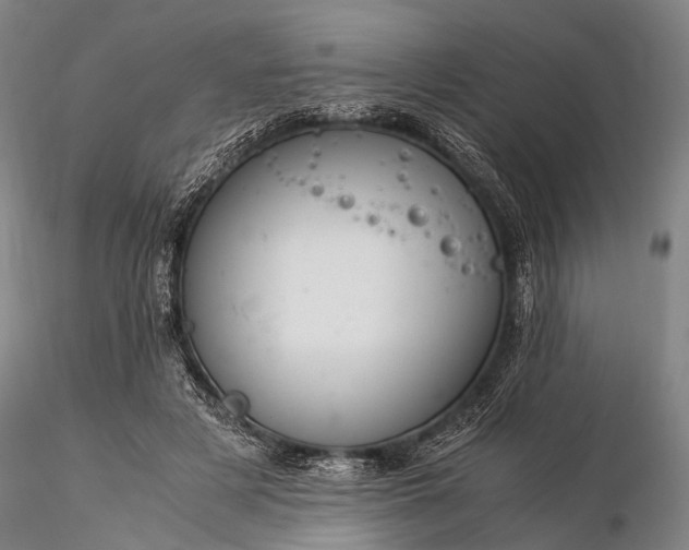 X0000116370497200912161441