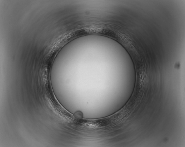 X0000116370498200912161441